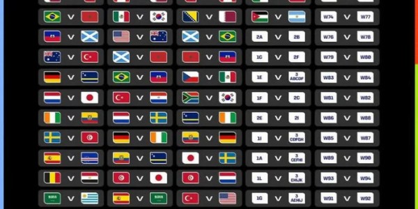 世界杯倒计时30天，宋凯会见FIFA官员，央视不松口，中国企业担忧|印度|国际足联|美加墨世界杯|报价|版权_新浪体育_新浪新闻